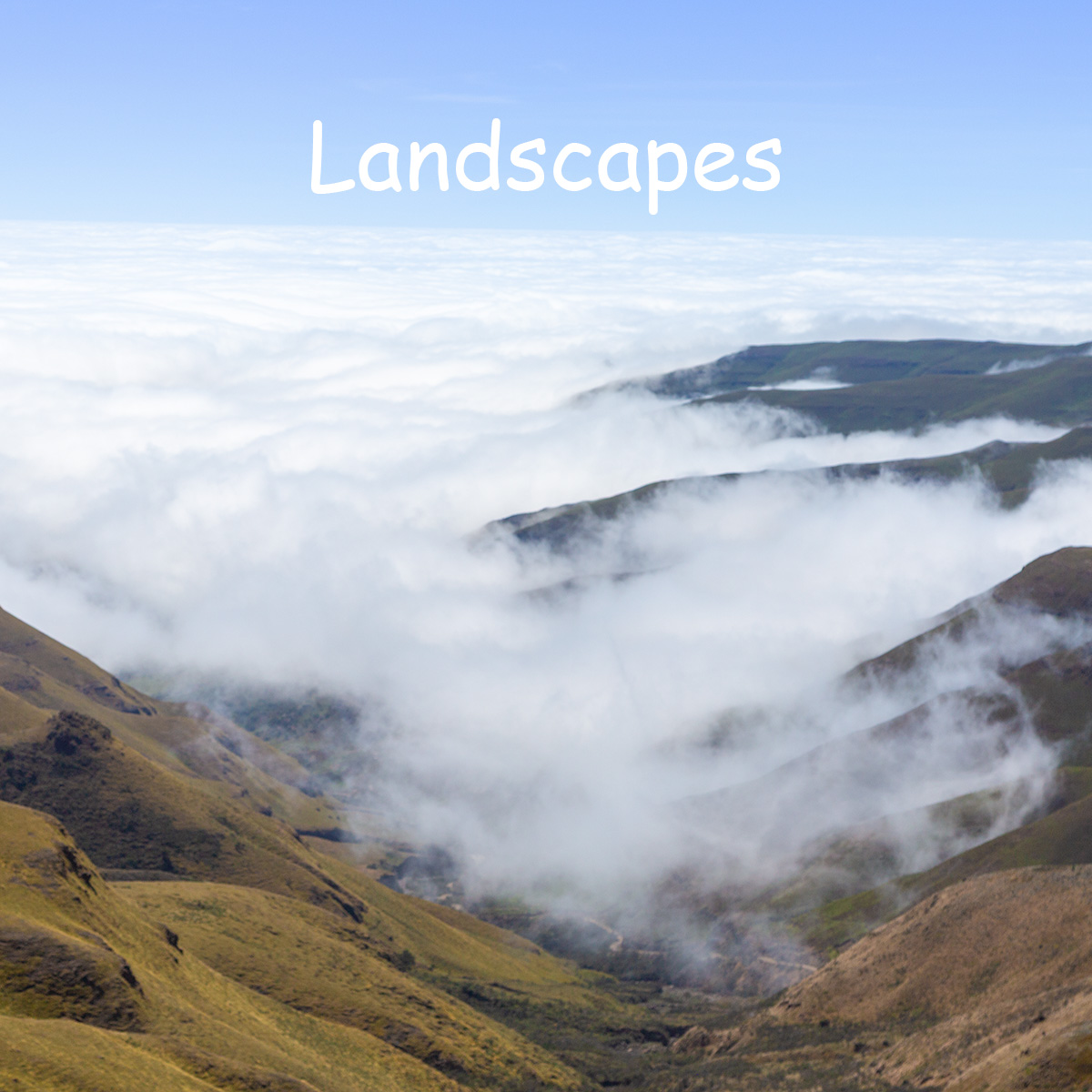 Nature and Wildlife - Landscapes