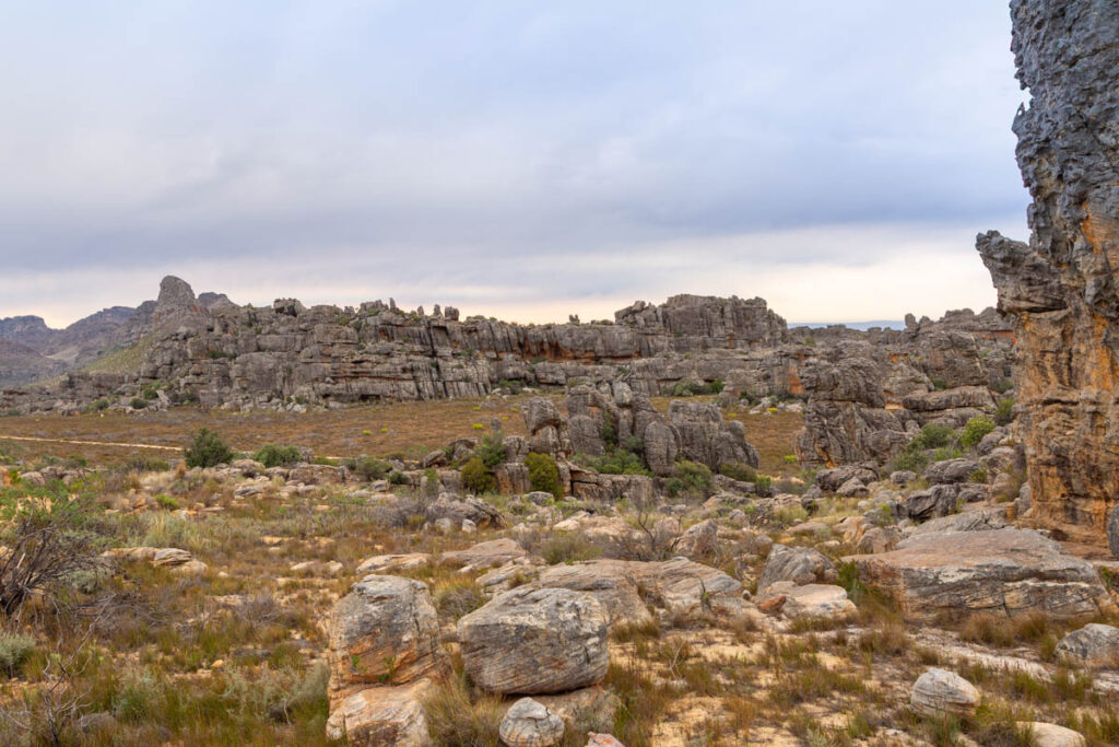 Die Zederberge von Südafrika